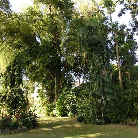 Balay Tuko Garden Inn Puerto Princesa Eksteriør bilde