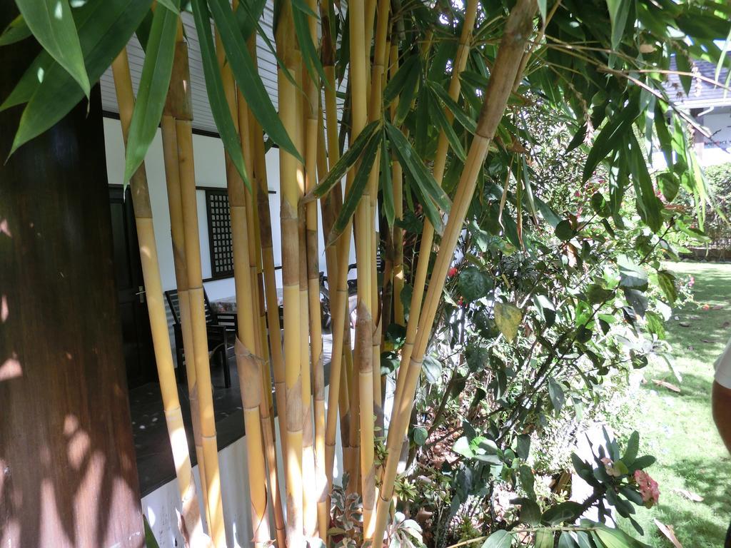 Balay Tuko Garden Inn Puerto Princesa Eksteriør bilde