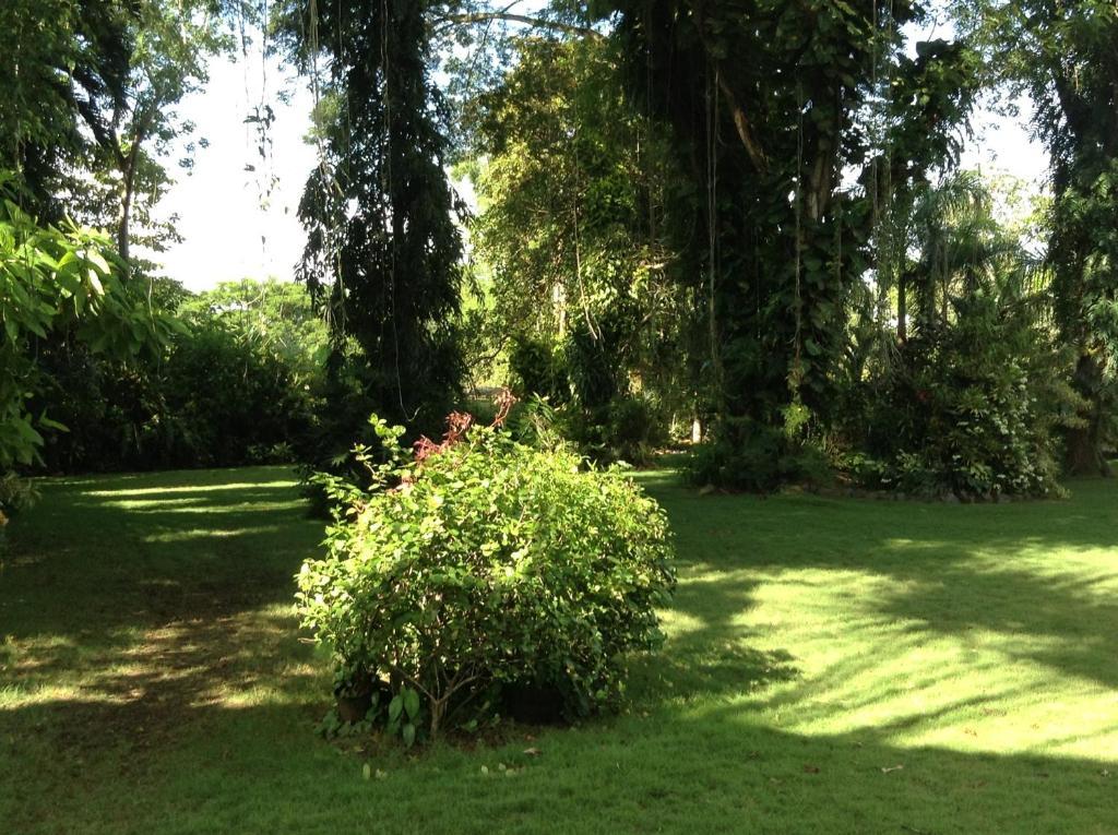 Balay Tuko Garden Inn Puerto Princesa Eksteriør bilde