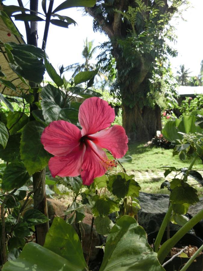 Balay Tuko Garden Inn Puerto Princesa Eksteriør bilde